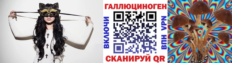 Псилоцибиновые грибы мицелий  где продают   Красноармейск 
