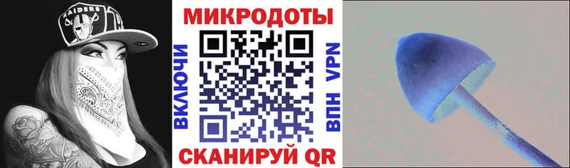 Галлюциногенные грибы GOLDEN TEACHER Красноармейск